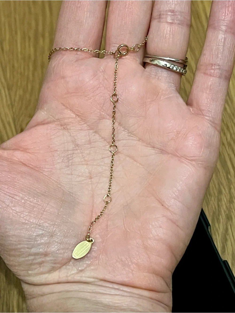 Benevolence LA Luna Half Moon Necklace Crescent 14k Gold Plated Double Horn